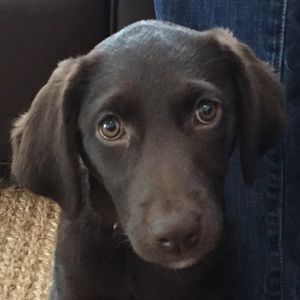 Meet your Posher, Angela